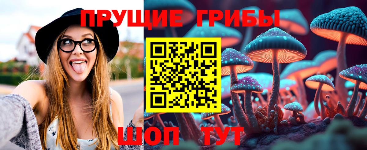 Галлюциногенные грибы мицелий  Псилоцибиновые грибы мухоморы  Амурск  Вход с VPN 